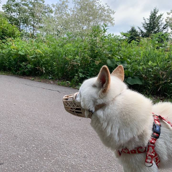 1b805e9c f3fe 45fd 9870 c0d7b483d3ab 1560032168130