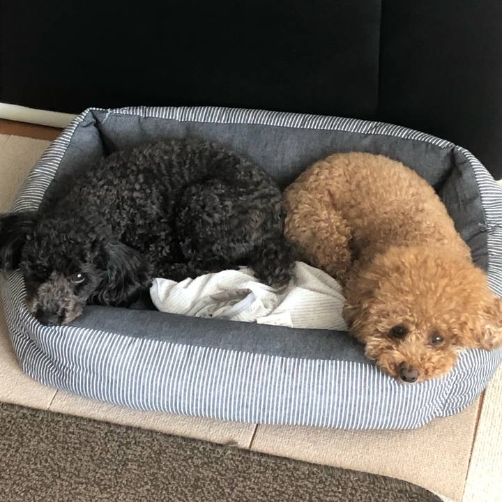 1b806c1c 62f6 486c bd3a 73e1ae72fc54 1593494839221