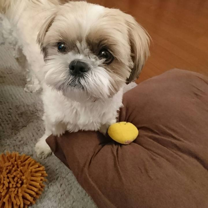 1b80a9f1 515c 4d81 a908 c533418b0e4b 1548737742966