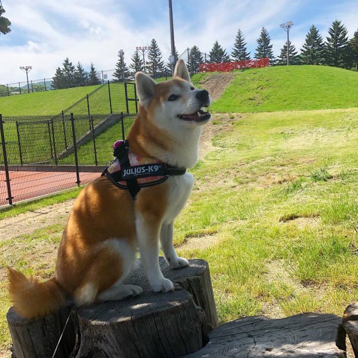 1b80d16b 7b76 4be2 8152 f0d43d3de8a4 1591063641501