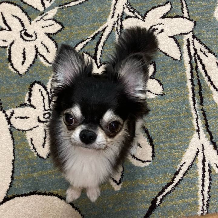 1b81071a 739e 4410 8409 a060cc02006a 1627739558594