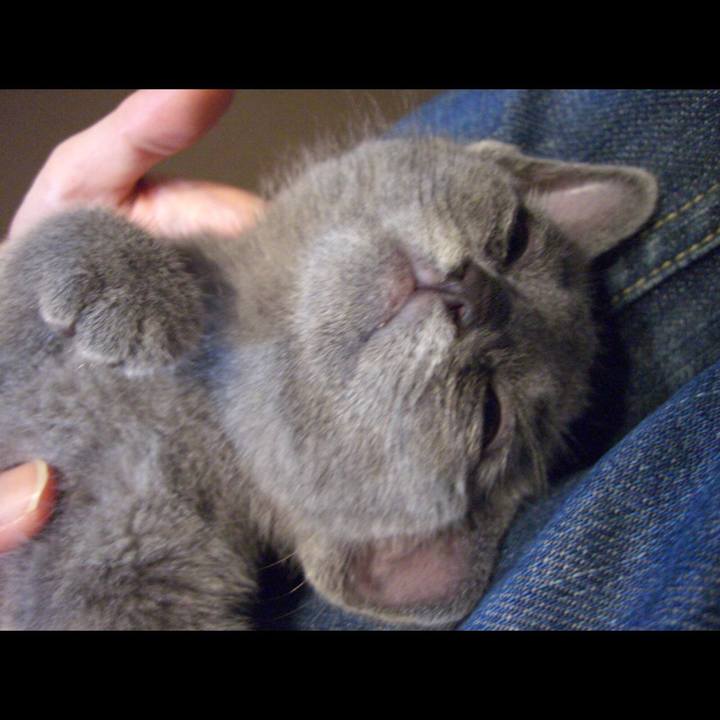 1b812869 be55 4c3d 8756 78388dd5b609 1536932745066