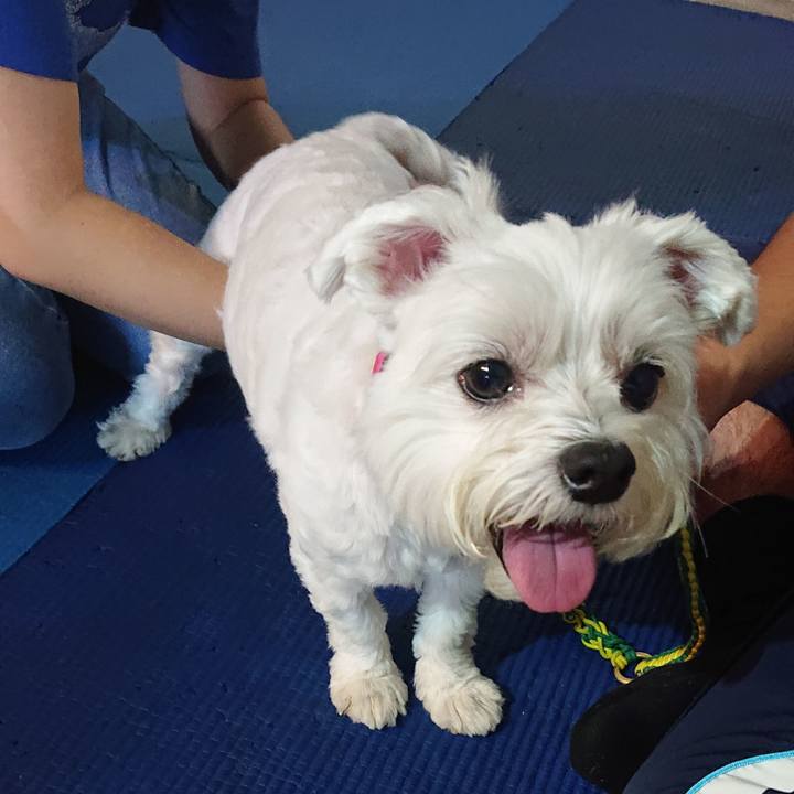 1b812d00 608c 439a 8f80 f951107f5032 1565269425626