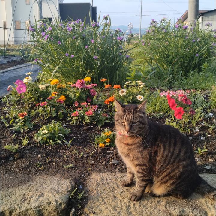 1b812efe d98c 4462 9e90 29ce3a2155ce 1686348010562