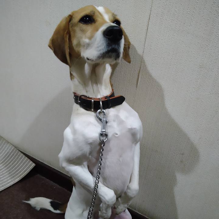 1b813a6d e067 4000 b61c ec0912f1d31c 1637914941991