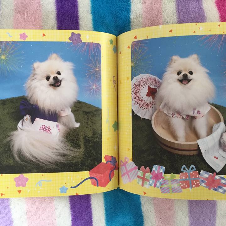 1b815313 ff23 46be 9dea 99aa97e4b16a 1536806233689