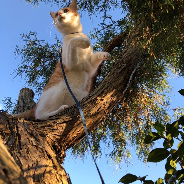 1b8174de 81cd 4067 a512 12ee74e0d67c 1542961245142