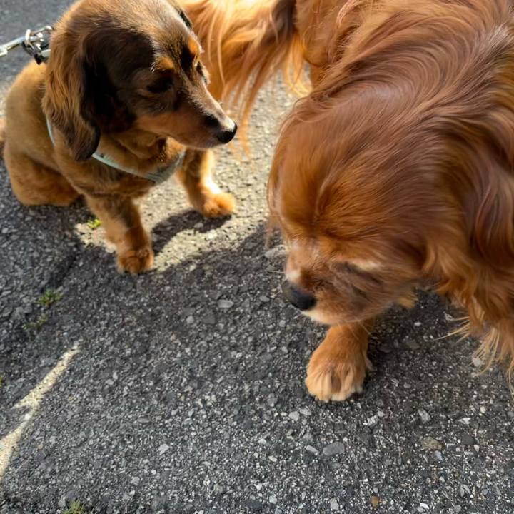 1b8174e3 6359 4324 806f 6db878cef3a4 1715385202144