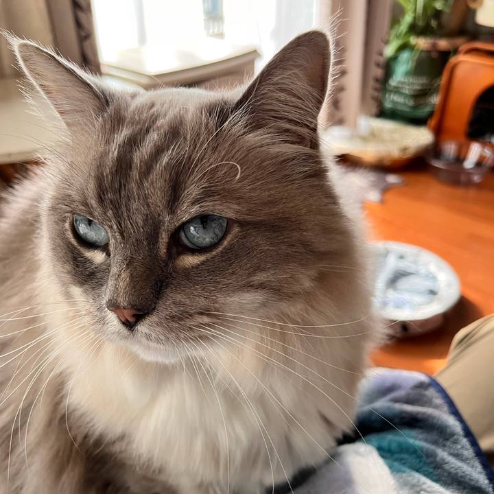 1b81bb19 169c 444c b608 9414db57fccc 1668818211292