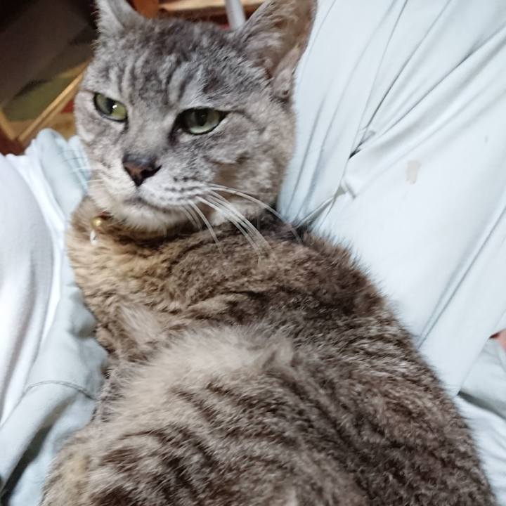 1b8230f3 8bc7 4add 8e52 9df6cdb03dcc 1566383864618