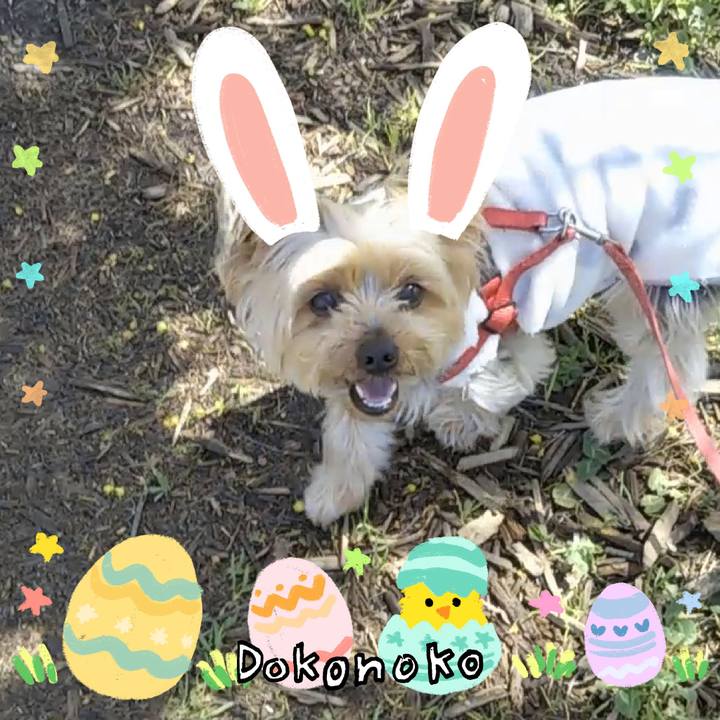 1b8237c6 6e54 4d85 b920 c66d89aaeb90 1712235044906