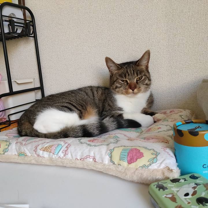 1b827bfb a727 421a 980f 6a08521de44a 1682025844248