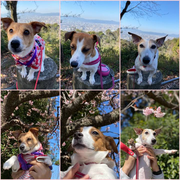 1b827e1d 2c69 4165 83d0 52c244097efc 1582537776518