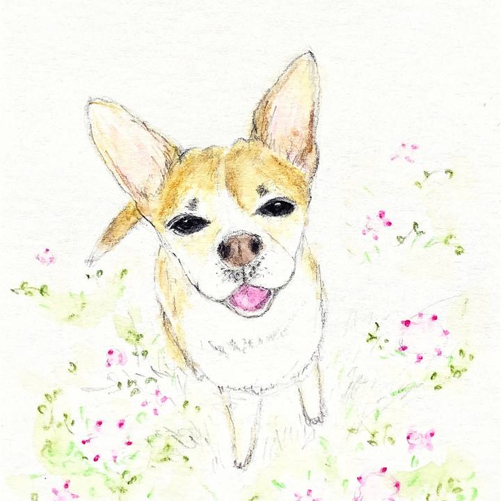 1b828507 87c9 4248 b28e c858e2f5521d 1656309648475