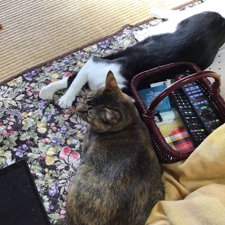 1b8287b1 bc8b 4ea2 925e 55007b72a865 1639184756899