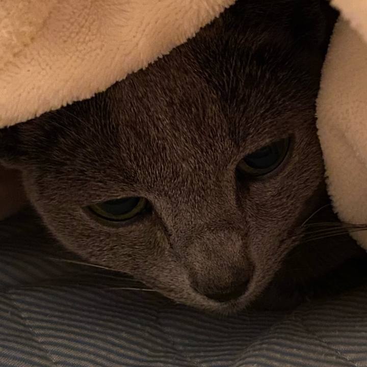 1b829414 d47e 4fa3 9827 9910b8014290 1579822752508