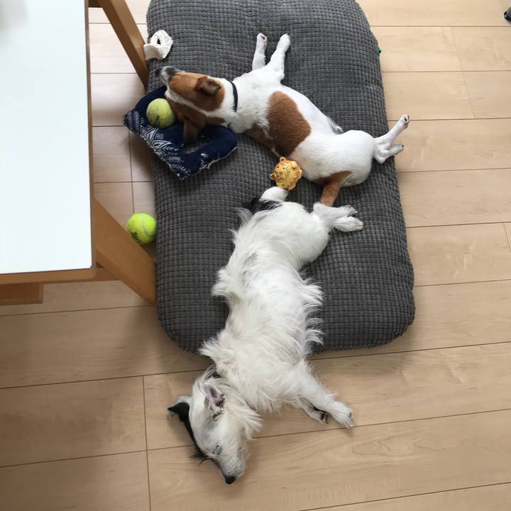 1b82a72b 2ce5 41e9 a464 1f430173a518 1527568476235