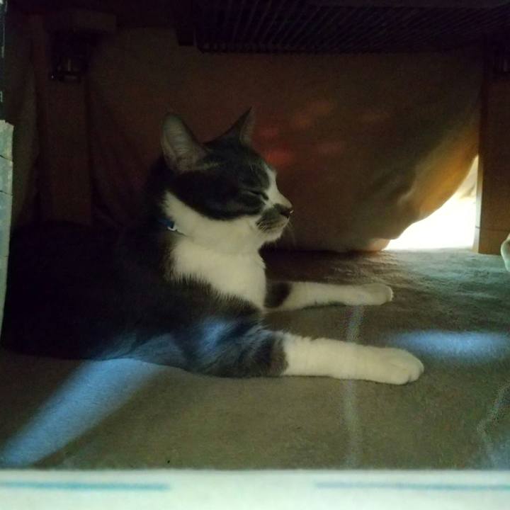 1b82c9fd 43e3 4676 b909 459d832e5bfb 1640736939200