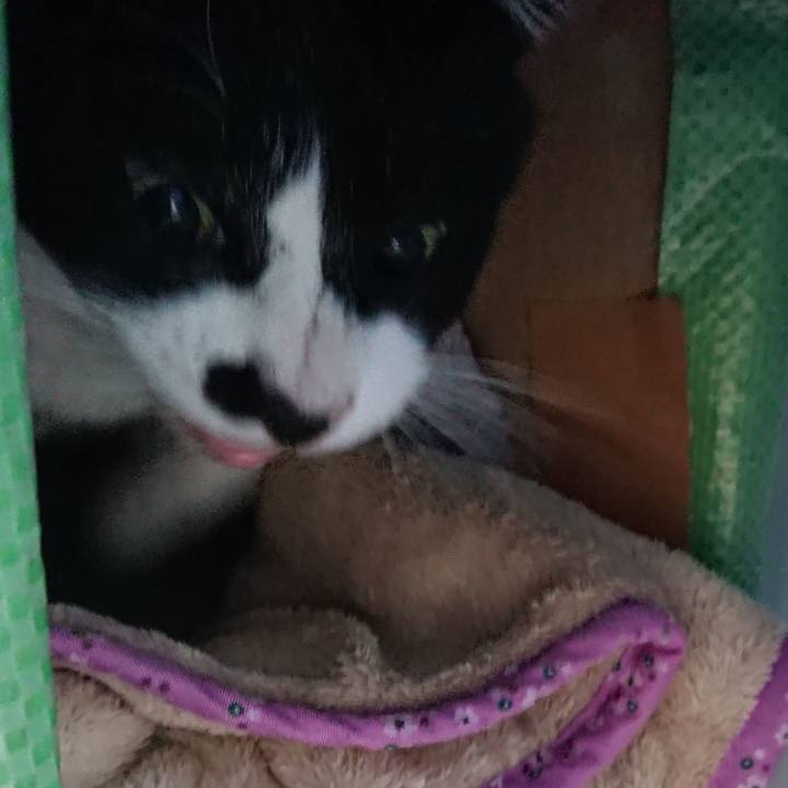 1b82efa8 3c20 4796 a5b5 245af60abf97 1550634679948