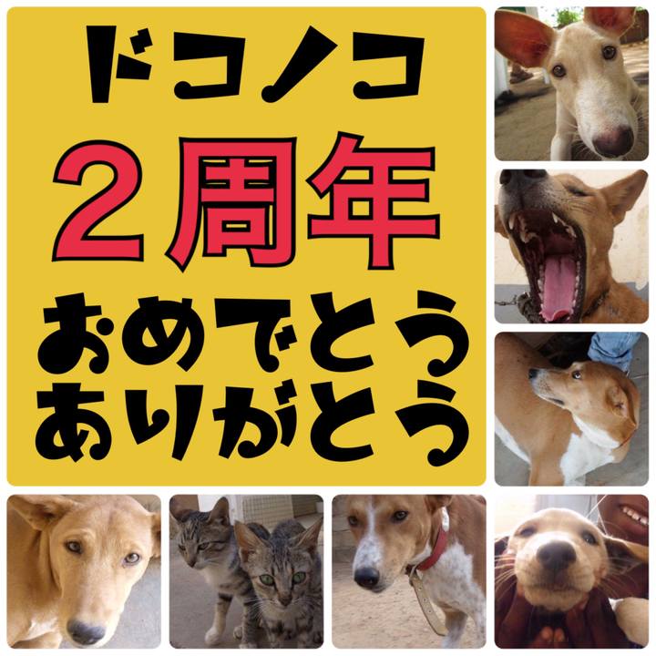 1b82f12f e47b 495a 8359 902820b02492 1528034443961