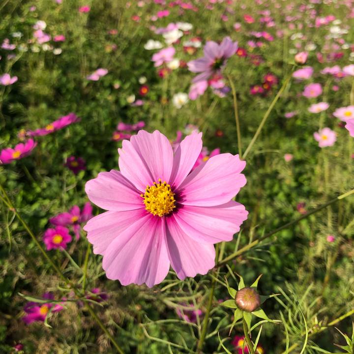 1b832555 af46 4526 8741 32d4764ec1e4 1603692321402