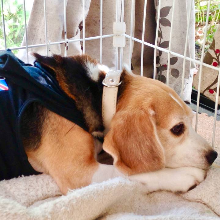 1b83256c 340f 4a7b acef 9e4502810ea1 1758356326904