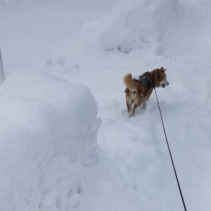 1b832706 a43e 478c 814e f839c7cbf323 1739937506183