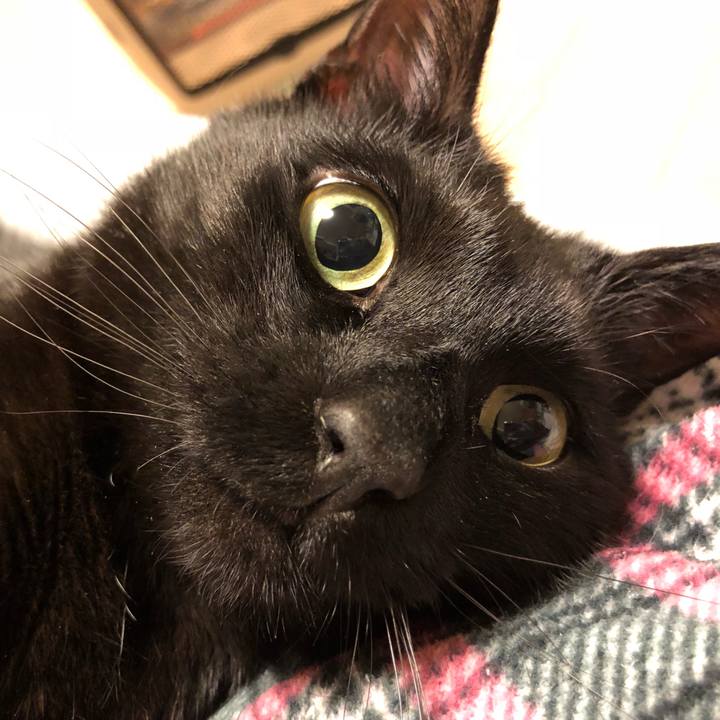 1b832be2 c73b 484d bb9d 0320f8a1942e 1521291067978