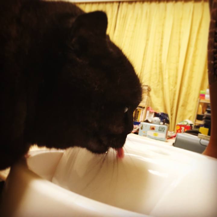 1b836a83 d3b6 4280 a63c 048427d7ee19 1524414929207