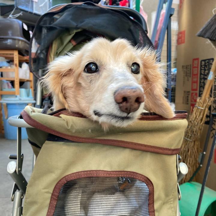 1b8397c6 b905 4a39 8c9a 1548f1047d04 1642581571937