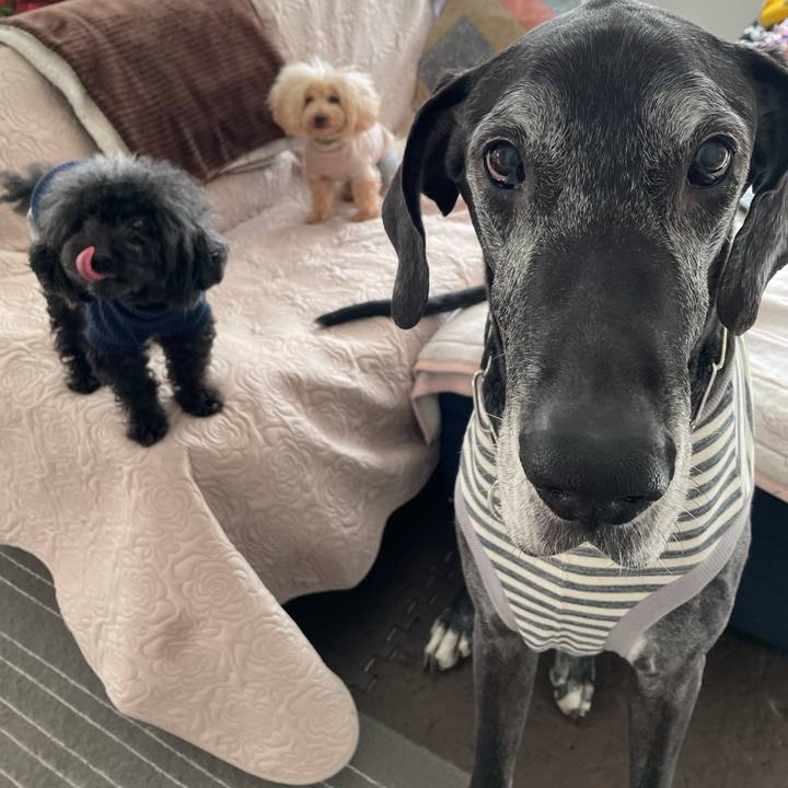 1b839dea e25f 4799 a5bc 8d36b3df7d70 1616970925152