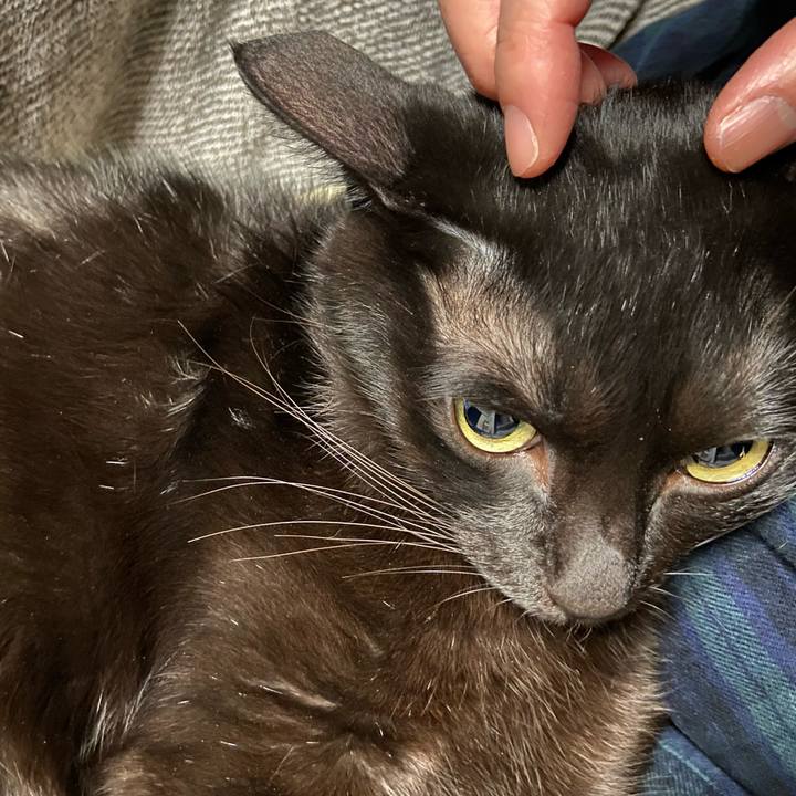 1b83d9f9 523a 4584 ba93 f9dd34e33d1d 1666699750147