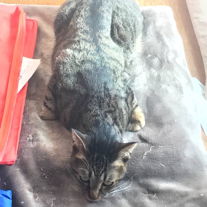 1b840dd2 83a9 4bf5 9908 87094cf3419e 1508975442448