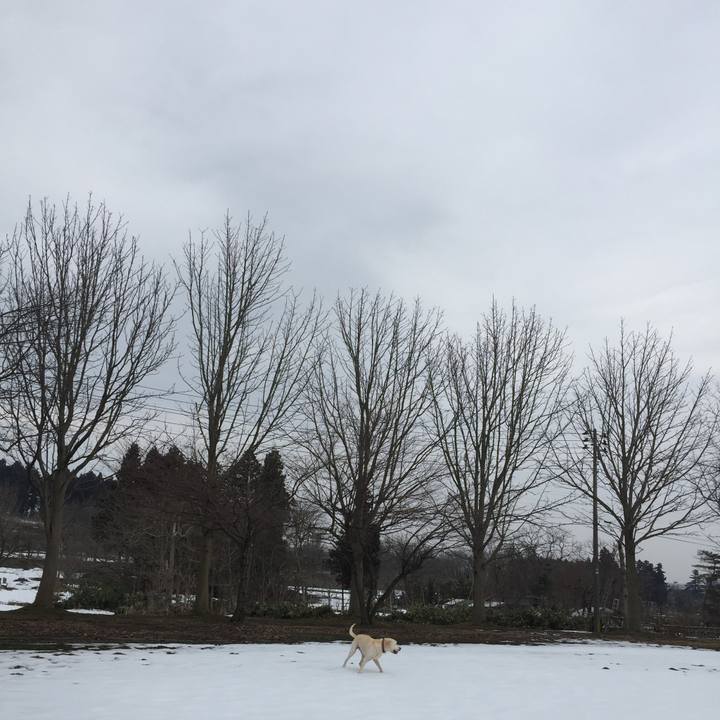 1b842ff5 23f3 4d7f 85c0 0eb18d716db2 1576759279090