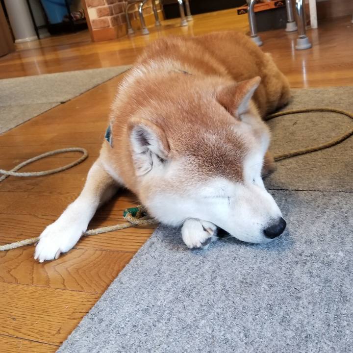 1b843440 2abb 4558 8240 1f2481d53570 1705274894326