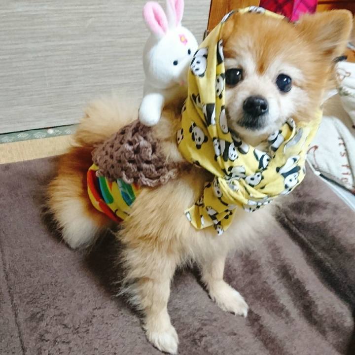 1b848ca5 1b03 4c8b 905a d033b65dec96 1513292485602