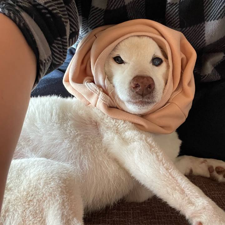 1b84a3a2 f72a 40de be88 cad3162b43b2 1668664941159