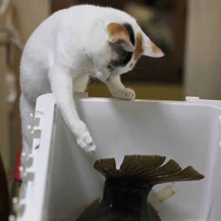 1b84e179 2e00 4974 8e0f 1087c0e9369d 1566200917753