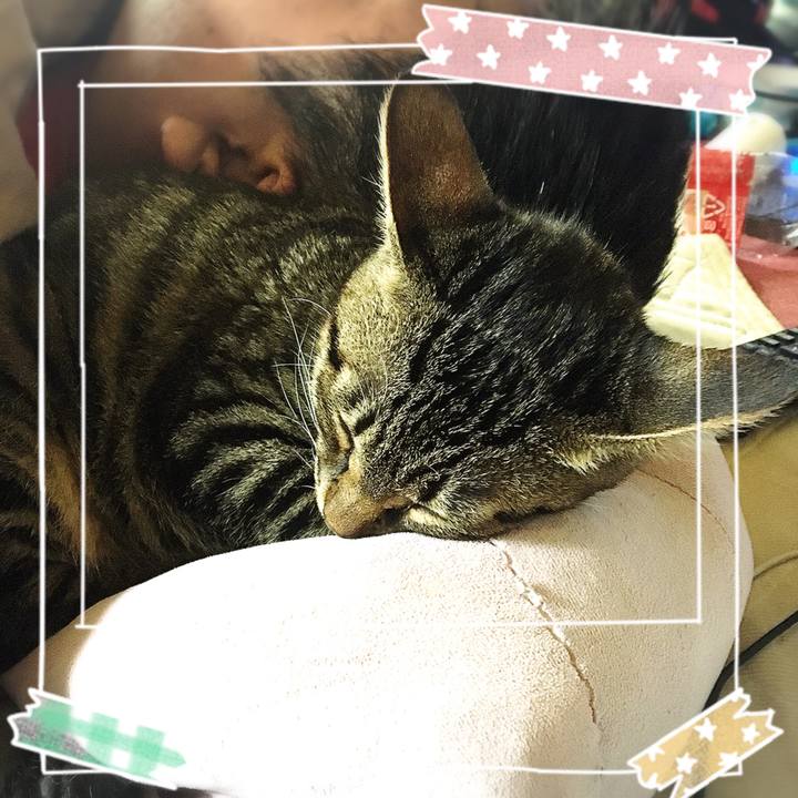 1b851a75 e314 4b06 8252 a4bab916bbcf 1541385087224