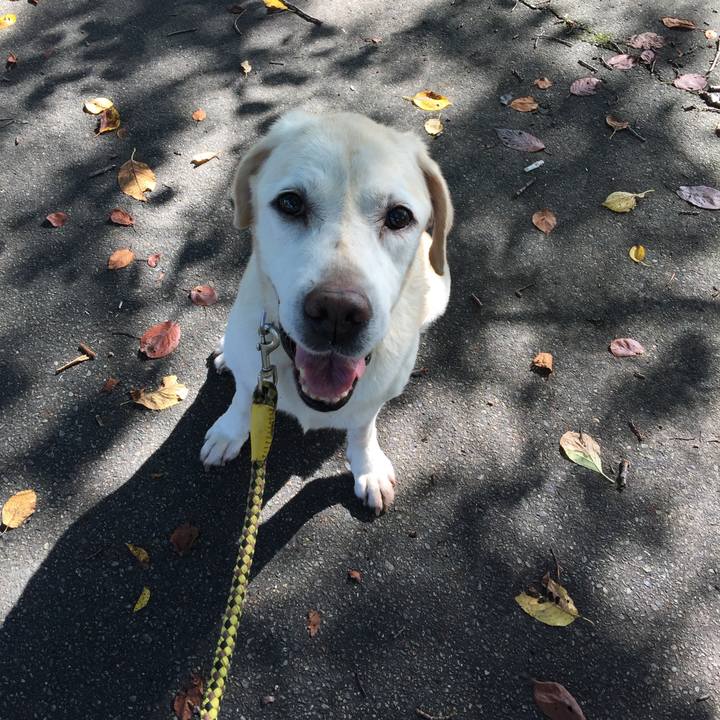 1b85254d 6f0d 45cb 8860 4de0c01ec6c9 1537929454860