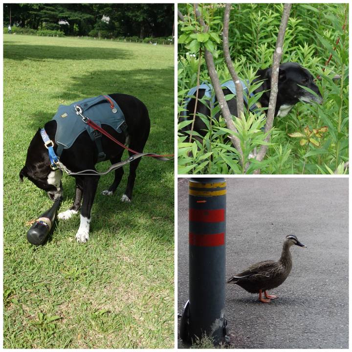 1b858748 40ec 4eb7 a775 abaea6d60212 1718153194570