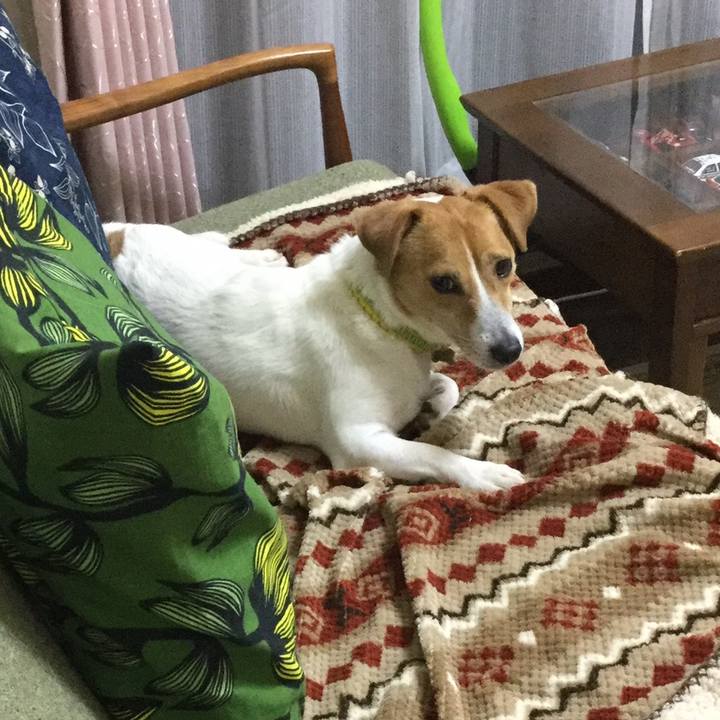 1b859034 df6a 4b76 b0c9 21a19eb0fdbf 1558522177447