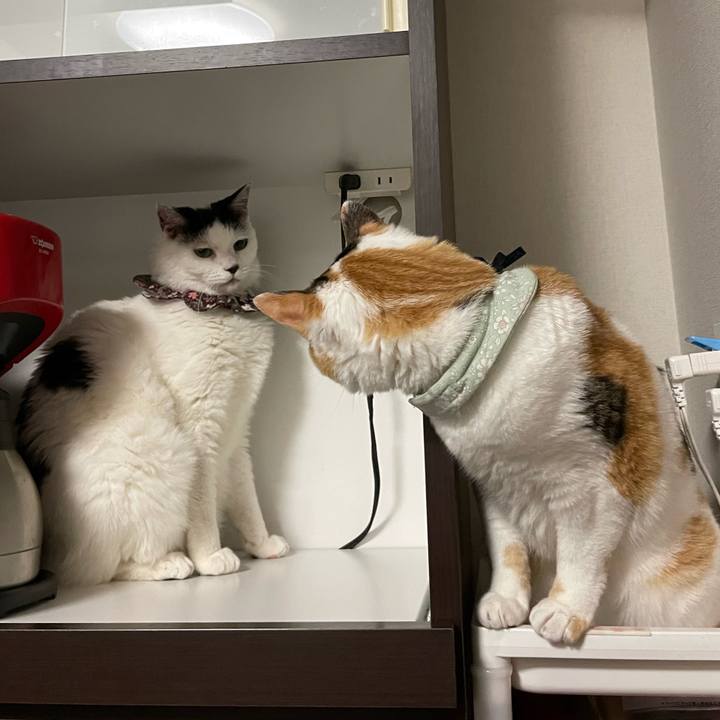 1b85a166 72bf 4637 9e3f c3a648205704 1681827884658