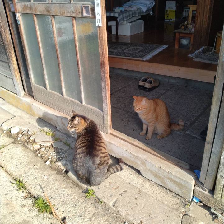 1b85bf55 7fa6 413e 8468 5f21c4875a52 1681945730424