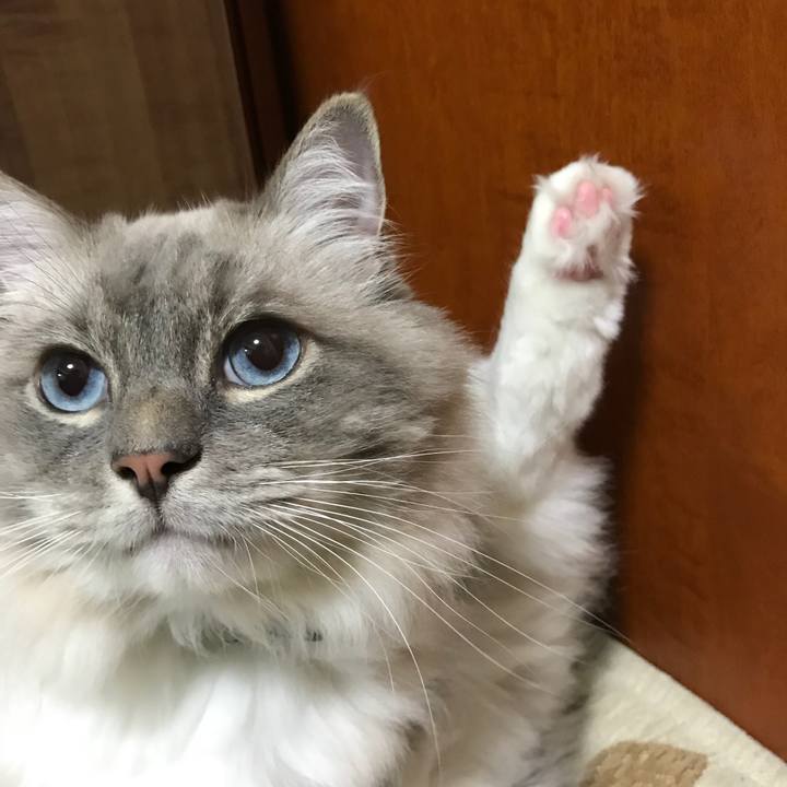 1b85ca33 bfd8 46b1 84ab f35e4416098b 1509189307864