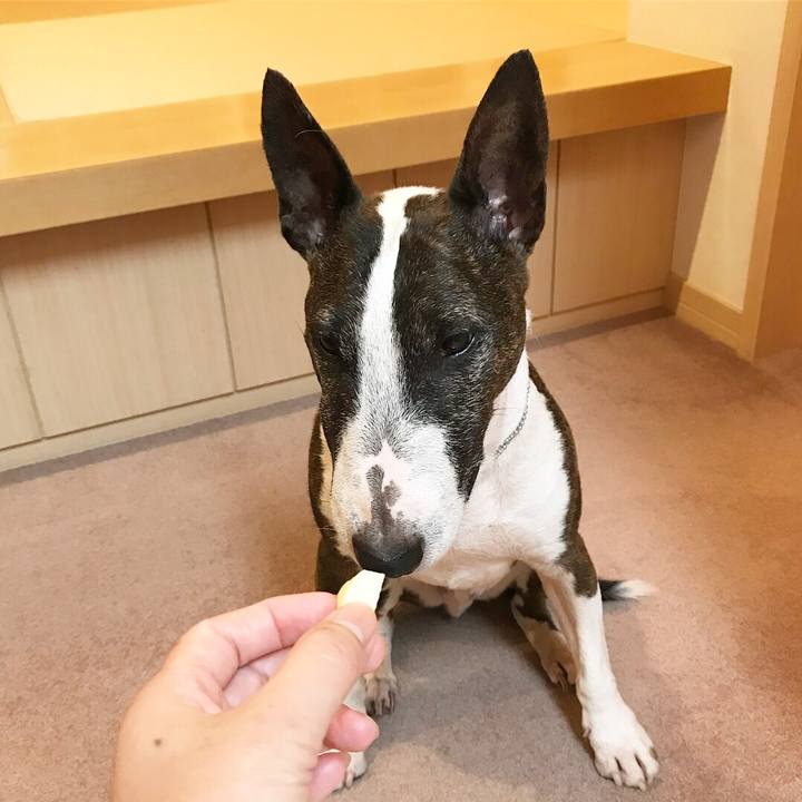 1b85e935 2d5b 485d 87b5 8697f1fcb0df 1528621093482