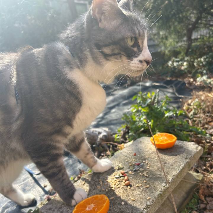 1b85ee39 8cf6 45ea 8ecc 752afd704c4c 1771034287528