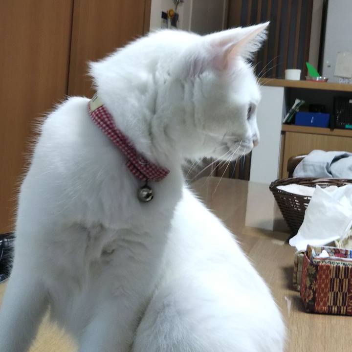 1b861751 e76f 4c7f a4e8 13219c34b0ce 1627678887969