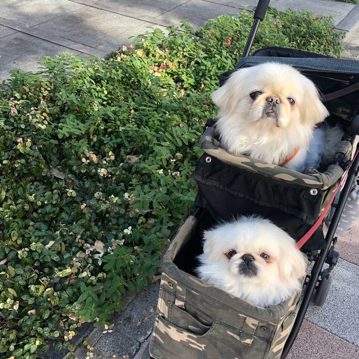 1b86225c 8a65 487c 8bbe 4df44a2d5bab 1546597388522