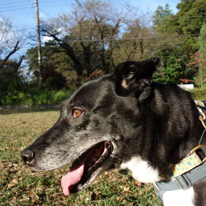 1b865bfc b8a7 4acc ab3d d34cb4574ab1 1729556847808